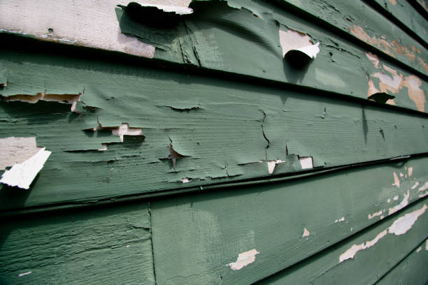 Best Dumpster Rental Services  in Hillandale, MD