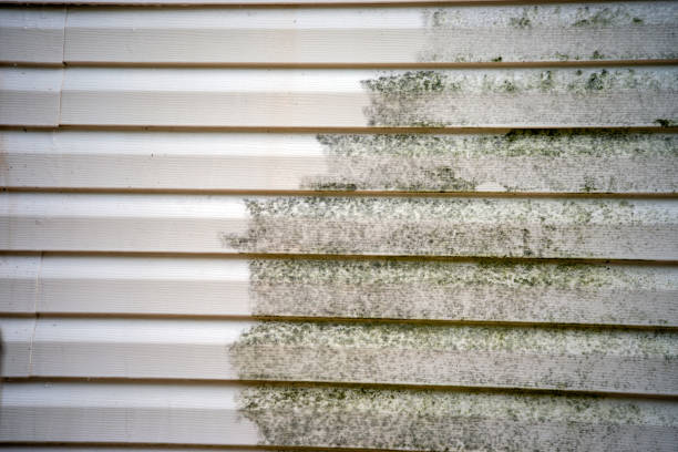 Best Shed Removal  in Hillandale, MD